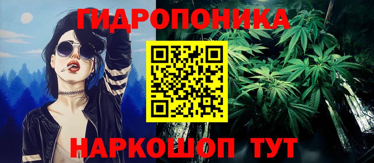 Конопля план Курчалой